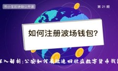 深入解析：公安如何有效
