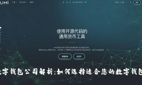 数字钱包公司解析：如何选择适合您的数字钱包？