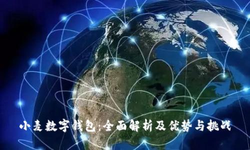 小麦数字钱包：全面解析及优势与挑战