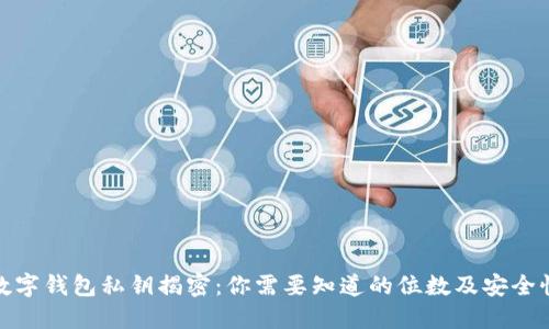 数字钱包私钥揭密：你需要知道的位数及安全性