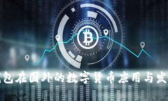 电子钱包在国外的数字货