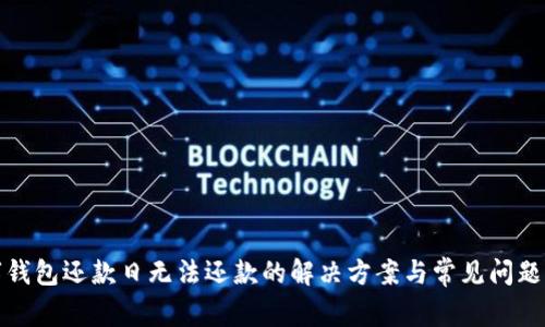 数字钱包还款日无法还款的解决方案与常见问题解析