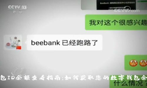 数字钱包ID余额查看指南：如何获取您的数字钱包余额信息