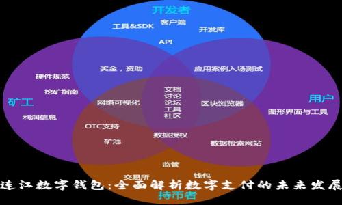 连江数字钱包:全面解析数字支付的未来发展