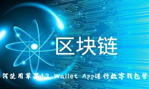 如何使用苹果13 Wallet App进行数字钱包管理
