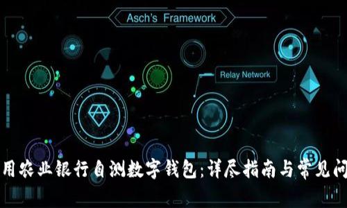 如何使用农业银行自测数字钱包：详尽指南与常见问题解答