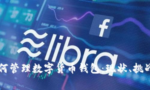 国家如何管理数字货币钱包：现状、挑战与未来
