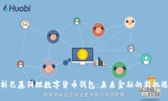 全面解析巴基斯坦数字货