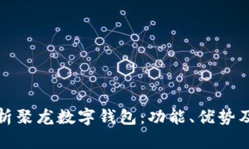 全面解析聚龙数字钱包：功能、优势及安全性