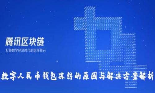 数字人民币钱包冻结的原因与解决方案解析