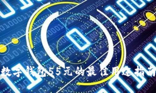 数字钱包55元的最佳用途指南