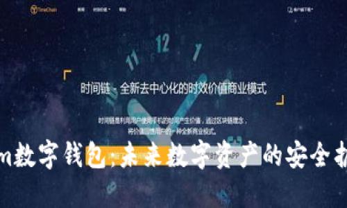 10nm数字钱包：未来数字资产的安全护航者