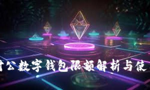 建行对公数字钱包限额解析与使用指南