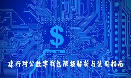 建行对公数字钱包限额解析与使用指南