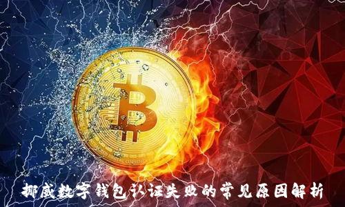   
挪威数字钱包认证失败的常见原因解析