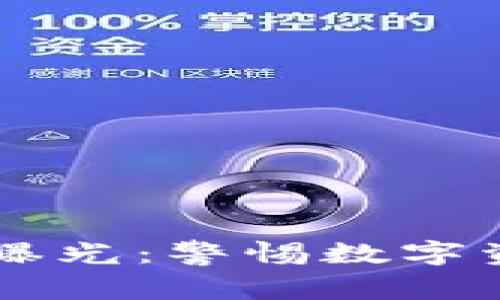 区块链钱包骗局曝光：警惕数字资产的陷阱与对策