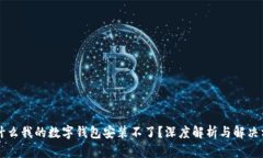 为什么我的数字钱包安装