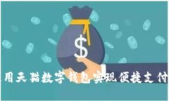 如何使用天猫数字钱包实