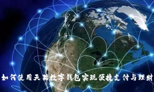 如何使用天猫数字钱包实现便捷支付与理财