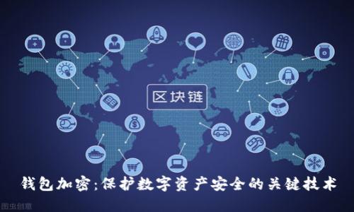 钱包加密：保护数字资产安全的关键技术