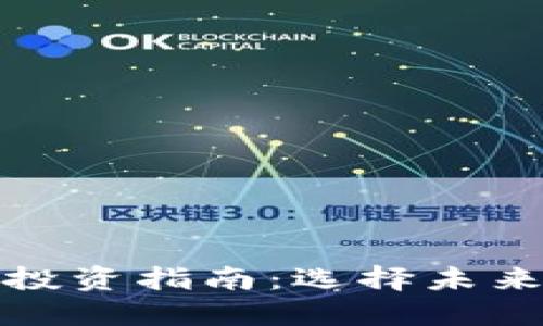 数字钱包龙头股票投资指南：选择未来金融科技的领军者