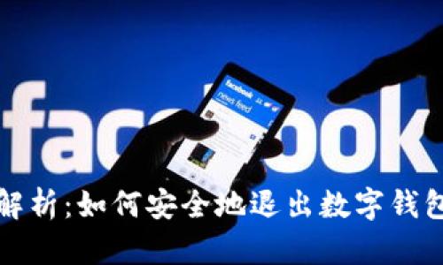 全面解析：如何安全地退出数字钱包登录