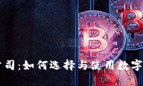 成都数字钱包公司：如何选择与使用数字钱包的终极指南