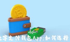 全面解析数字支付钱包A