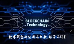 数字钱包的使用与欠款：