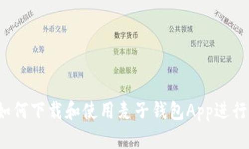 全面指南：如何下载和使用麦子钱包App进行区块链交易
