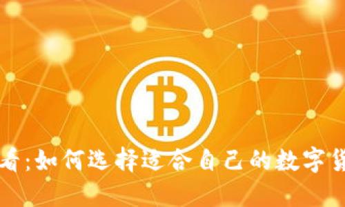 新手必看：如何选择适合自己的数字货币钱包
