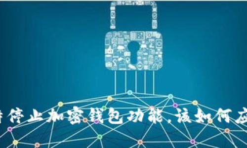推特停止加密钱包功能，该如何应对？