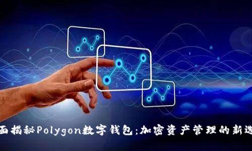 全面揭秘Polygon数字钱包：加密资产管理的新选择