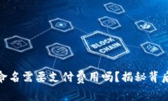 数字钱包重新命名需要支