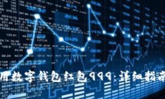 如何有效使用数字钱包红