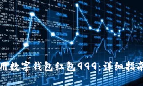 如何有效使用数字钱包红包999：详细指南与实用技巧