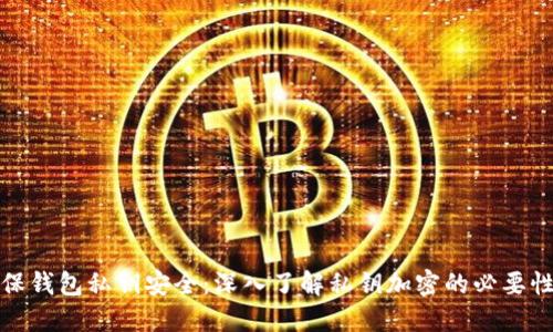 如何确保钱包私钥安全：深入了解私钥加密的必要性与技巧