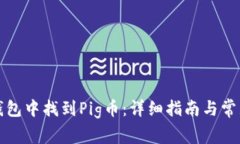 如何在TP钱包中找到Pig币：