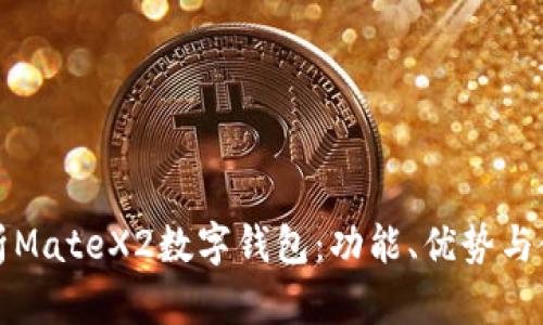 全面解析MateX2数字钱包：功能、优势与使用指南
