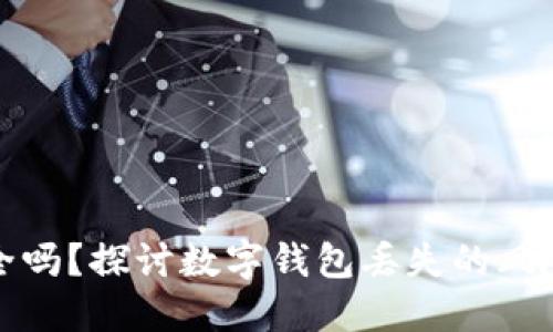 数字钱包安全吗？探讨数字钱包丢失的风险及解决方案