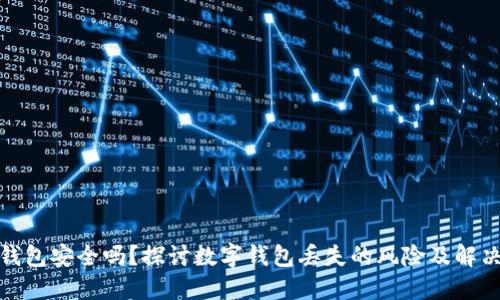 数字钱包安全吗？探讨数字钱包丢失的风险及解决方案