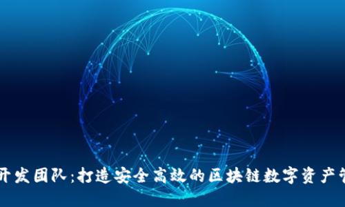 TP钱包开发团队：打造安全高效的区块链数字资产管理平台