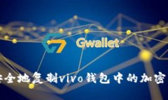 如何安全地复制vivo钱包中