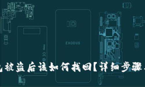 TP钱包被盗后该如何找回？详细步骤与建议