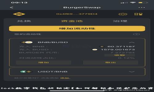 sblock数字钱包被锁定？如何解锁和保护您的资产