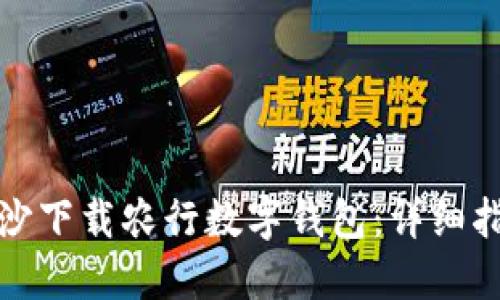 如何在长沙下载农行数字钱包：详细指南与技巧