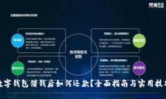 数字钱包借钱后如何还款
