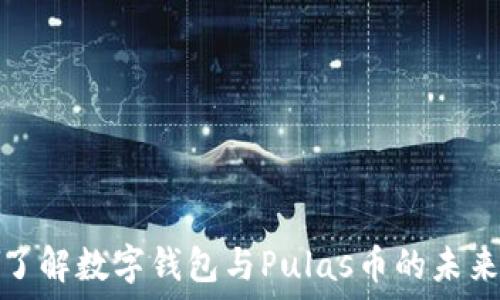   
深入了解数字钱包与Pulas币的未来发展