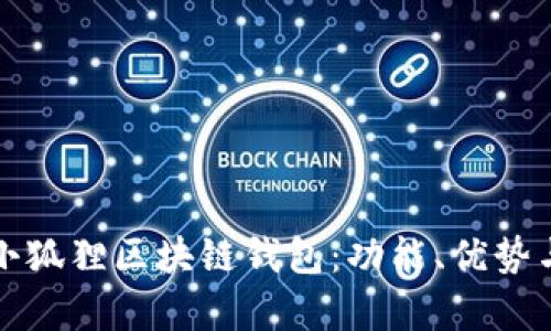 全面解析小狐狸区块链钱包：功能、优势与使用技巧
