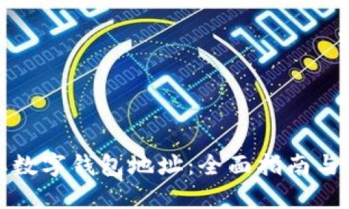 如何获取数字钱包地址：全面指南与实用技巧